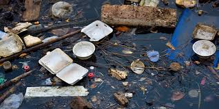 Physical Pollutio(3)